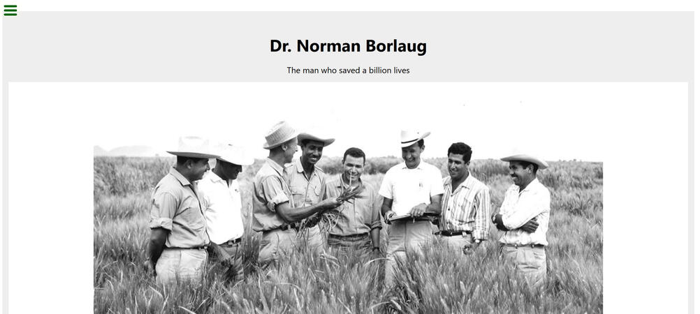 Tribute Page (2021) (HTML, CSS, JavaScript)